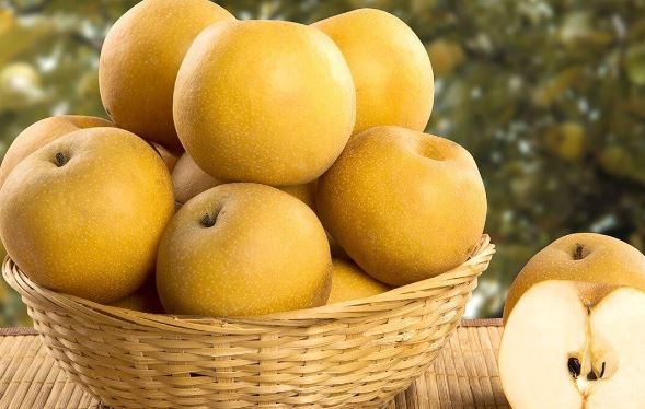 8 lợi ích kỳ diệu của quả lê cho sức khoẻ: Vì sao nên ăn cả vỏ lê?