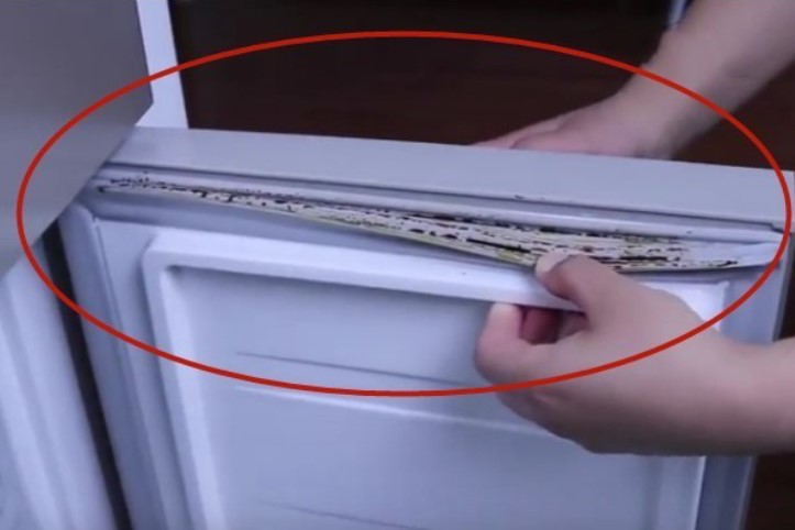 Phát hiện kẽ tủ lạnh bám đầy vết bẩn và đen? Có một mẹo nhỏ giúp bạn xử lý sạch sẽ như mới ngay lập tức