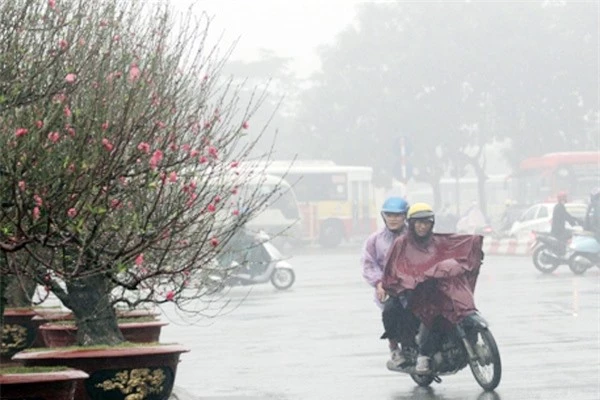 Dự báo thời tiết ngày 21/1/2024: Hà Nội có mưa, trời rét