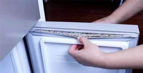 Phát hiện kẽ tủ lạnh bám đầy vết bẩn và đen? Có một mẹo nhỏ giúp bạn xử lý sạch sẽ như mới ngay lập tức - Ảnh 1.