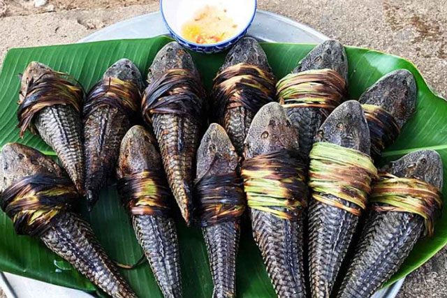 Loài cá xấu xí trở thành đặc sản miền Tây, hương vị thế nào mà ngày càng tăng giá?