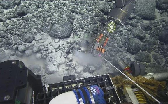 Phát hiện ngọn núi chưa từng biết là 'mộ phần' siêu quái vật biển