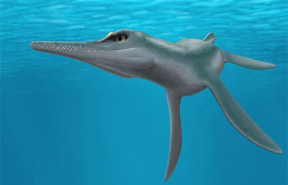 Mỹ: Xuất hiện quái vật 80 triệu tuổi đầu cá sấu, mình cá heo - Ảnh 1.