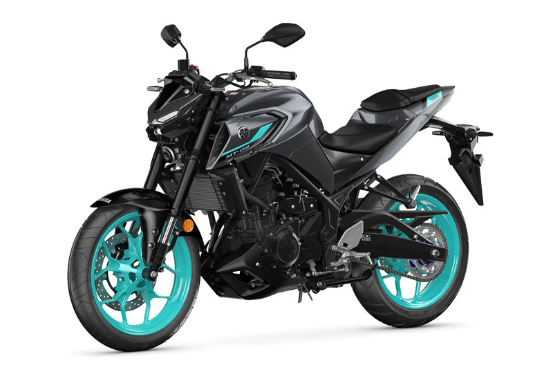 Top 10 naked bike rẻ nhất năm 2024: Yamaha MT-03 góp mặt