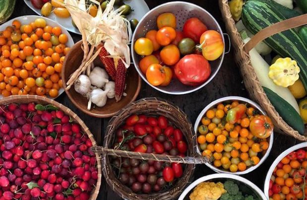 Người phụ nữ chỉ thích trồng cây, làm vườn theo phương pháp cũ và kết quả bất ngờ