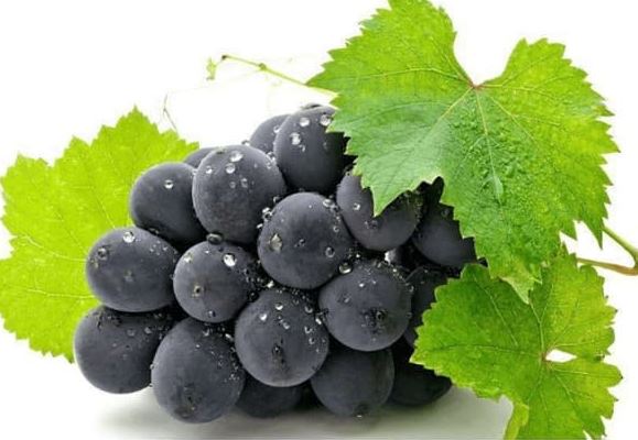 Nếu bạn phát hiện có nhân giáp thì hãy cố gắng không ăn 3 loại trái cây này, hãy cùng tìm hiểu nhé!