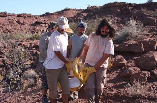 Quái thú dài 20m "hiện hình" sau 90 triệu năm tuyệt tích