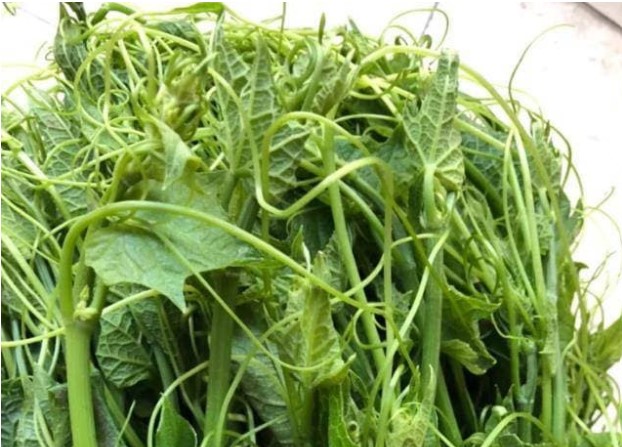 'Vô địch rửa ruột' là nó, ăn ngày một lần, bụng tan biến, da dẻ trắng mịn, eo thon chân thon