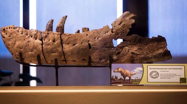 Mỹ: Xuất hiện 'vua quái vật' dài 12m, nguy hiểm hơn T-rex