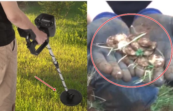 Làm rơi nhẫn cưỡi, người đàn ông dùng máy dò kim loại đi tìm, bất ngờ phát hiện kho báu hơn 3 tỷ