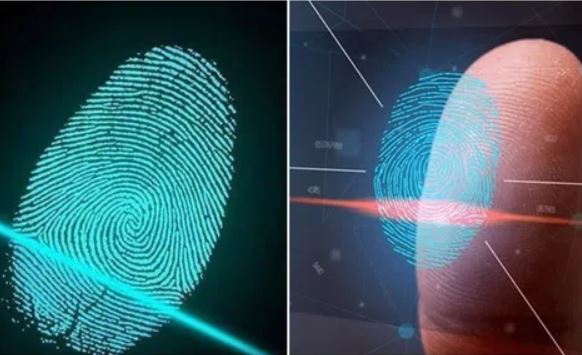 Bí mật về dấu vân tay của con người, lời nguyền di truyền hay điềm báo tương lai?