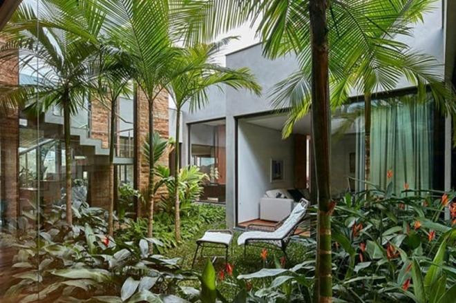 4 loại cây trồng trong vườn nhà, tài lộc vượng phát, kéo dài vận may cả chục năm, có nhà thì phải trồng một cây