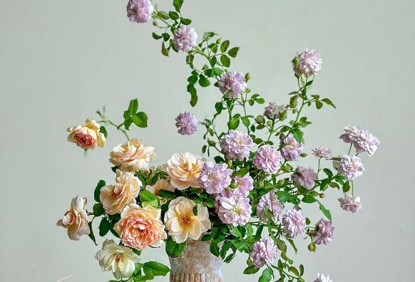 Tử vi hàng ngày - Chủ Nhật 28/1/2024 của 12 cung hoàng đạo