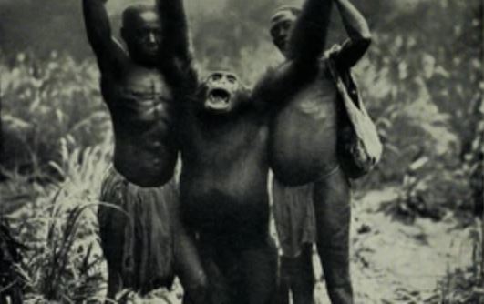 Bí ẩn về loài khỉ Bondo có thể ăn thịt sư tử châu Phi