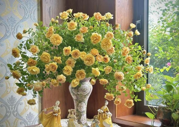 Tử vi hàng ngày - Thứ Ba 30/1/2024 của 12 cung hoàng đạo