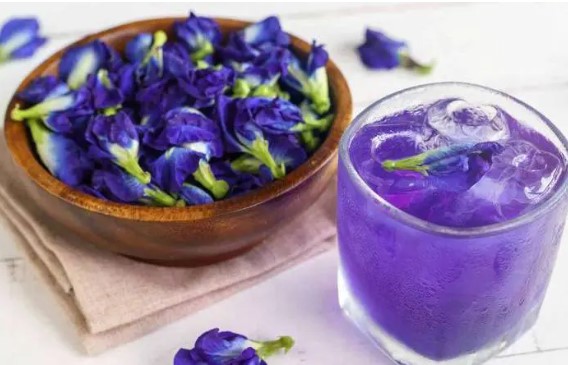 Trong hoa đậu biếc có 2 bộ phận chứa độc tố có thể gây ngộ độc, nhiều gia đình vẫn chưa biết để dùng cho đúng