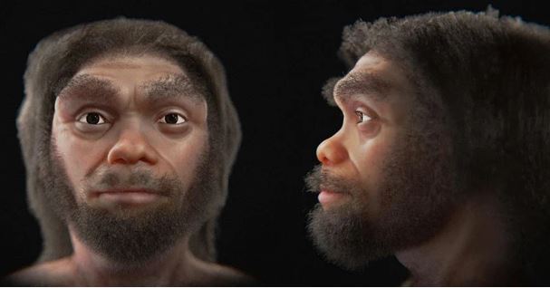 'Tái sinh' Người Rồng đã tuyệt chủng ở Hắc Long Giang