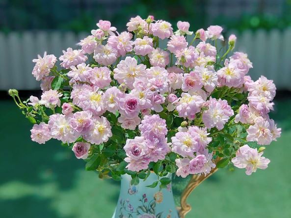 Tử vi hàng ngày - Thứ Hai 29/1/2024 của 12 cung hoàng đạo