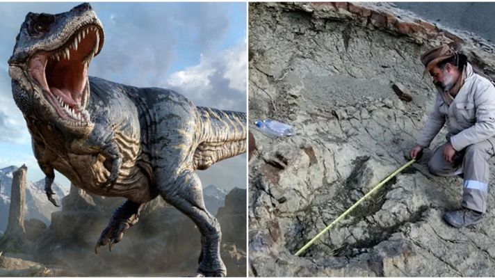 Cận cảnh dấu chân khủng long khổng lồ từ hàng trăm triệu năm trước dưới lòng sông