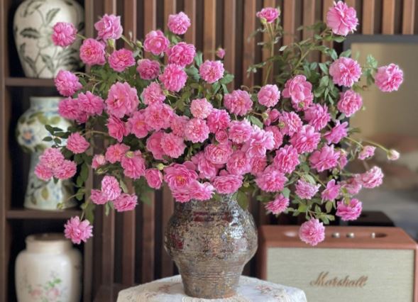 Tử vi hàng ngày - Thứ Năm 1/2/2024 của 12 cung hoàng đạo