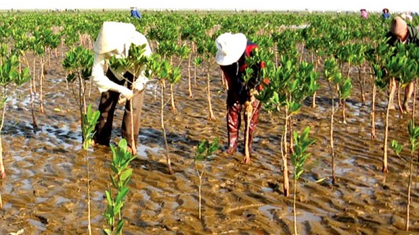 ADB cam kết mức tài trợ kỷ lục cho thích ứng biến đổi đổi khí hậu