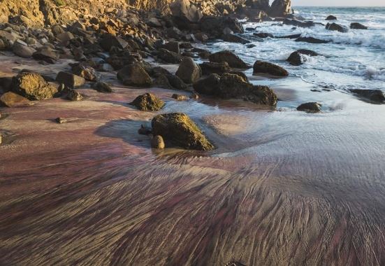 Bãi biển siêu thực kỳ lạ, có một không hai trên thế giới với dải cát màu tím