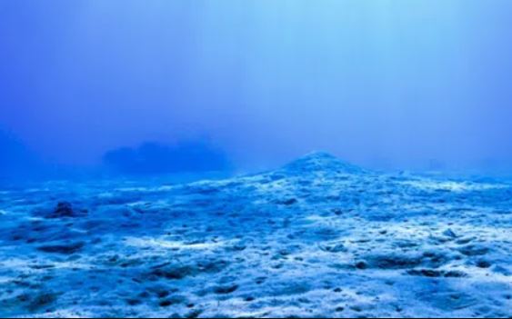 Bí ẩn về những vết rỗ lõm kỳ lạ dưới đáy đại dương cuối cùng đã có lời giải