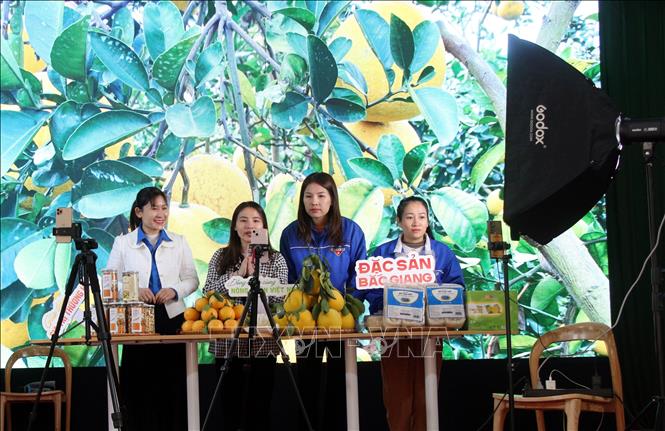 Giảm thiểu rủi ro kinh doanh trên mạng xã hội dịp Tết Nguyên đán