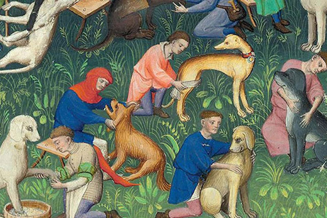 Những sự thật thú vị về việc nuôi chó làm thú cưng vào thời Trung cổ: Chó thể hiện đẳng cấp quý tộc