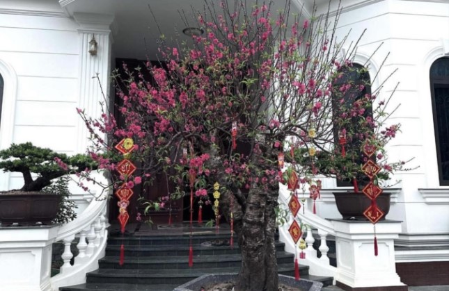 Văn Toàn khoe không khí tết rộn ràng tại biệt thự ở quê