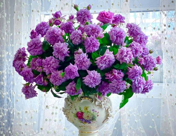 Tử vi hàng ngày - Thứ Bảy 3/2/2024 của 12 cung hoàng đạo