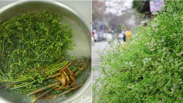 Tết Nguyên Đán 2024 cứ tắm 2 loại nước này đảm bảo vận xui tan biến, tiền bạc đổ ầm ầm về túi!