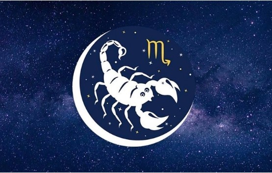 Những cung hoàng đạo dễ bị bỏ rơi nhất, bị người khác lừa dối nhưng vẫn một mực tin tưởng đối phương