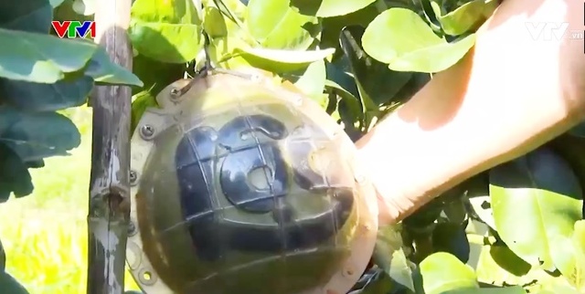 Nông sản tạo hình tiền triệu hút khách