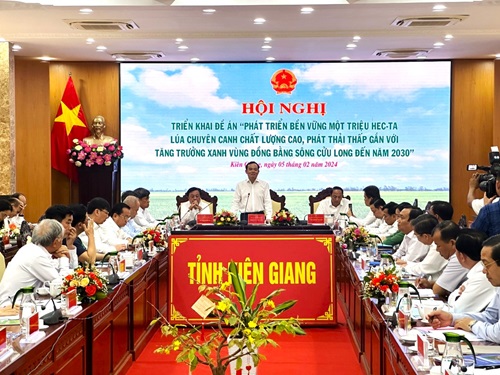 Xây dựng ngành lúa gạo “minh bạch, trách nhiệm, bền vững”