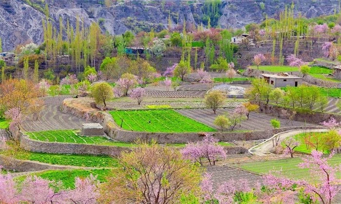Nằm giáp ranh với Ấn Độ, Trung Quốc và Afghanistan ở độ cao gần 3.000m so với mực nước biển, bao quanh là những dãy núi cao điệp trùng trên 7.000m, trong đó có ngọn núi được coi là cao thứ 2 thế giới lên tới 8.611m, Hunza được coi là một trong những thung lũng đẹp nhất của đất nước Pakistan. Thung lũng này thuộc vùng Gilgit, Baltistan, phía bắc Pakistan.
