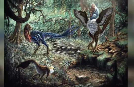 Mua hàng online, nhận được quái thú chưa từng thấy trên thế giới