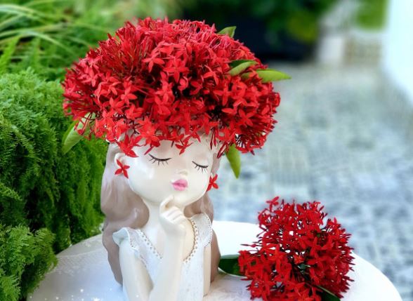 Tử vi hàng ngày - Thứ Năm 8/2/2024 của 12 cung hoàng đạo