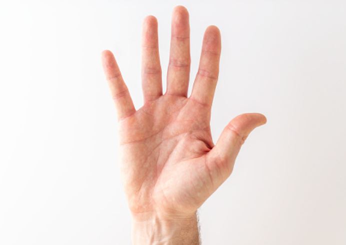 Tại sao con người có 5 ngón tay, ngón chân mà không phải 6 hay 7 ngón?