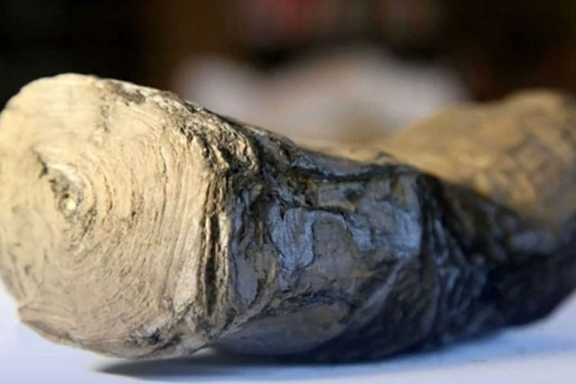 AI giải mã được cuộn giấy bị cháy trong thảm họa núi lửa 2000 năm trước