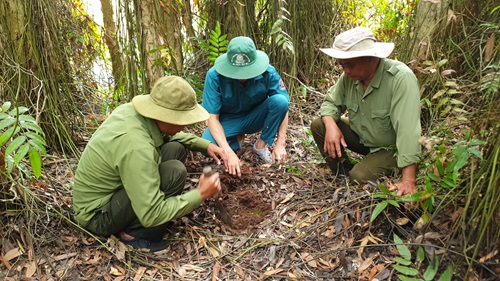 Xu&#xE2;n v&#x1EC1; tr&#xEA;n v&#x1B0;&#x1EDD;n qu&#x1ED1;c gia U Minh H&#x1EA1;