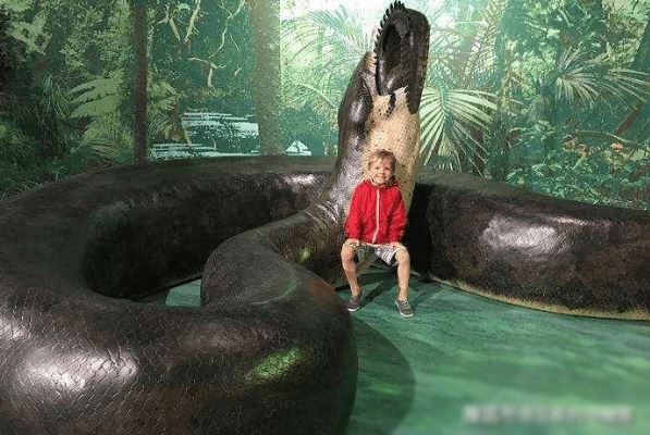 Loài rắn lớn nhất thế giới, kể cả báo đốm và cá sấu cũng không phải là đối thủ, chúng khủng khiếp như thế nào?