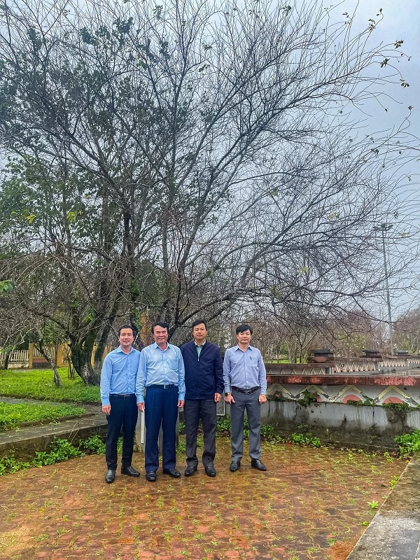 Tiến sĩ Phạm S (thứ hai từ trái) cùng lãnh đạo địa phương tại quảng trường trung tâm, phía sau là cây Mai anh đào trồng đầu tiên ở Măng Đen 10 năm tuổi.