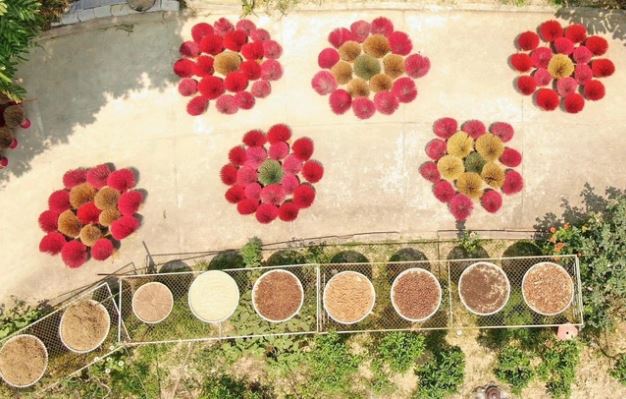 Dâng hương trong đời sống của người Việt