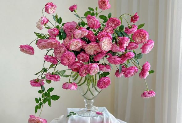 Tử vi hàng ngày - Thứ Bảy 10/2/2024 của 12 cung hoàng đạo