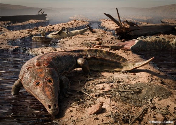 Lộ diện thủy quái 249 triệu tuổi chưa từng thấy trên thế giới- Ảnh 1.