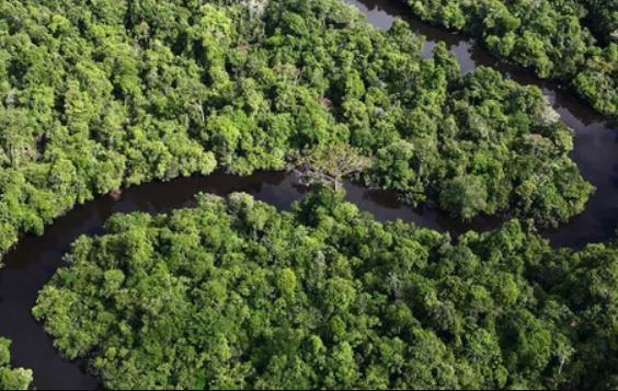 Sự thật về độ dài của sông Amazon: Liệu có vượt mặt sông Nile trở thành con sông dài nhất thế giới?