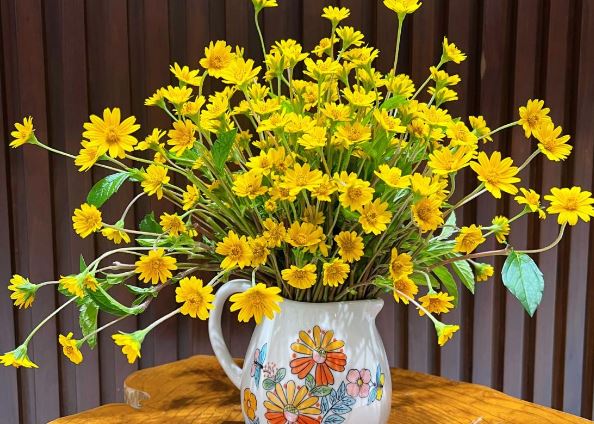 Tử vi hàng ngày - Chủ Nhật 11/2/2024 của 12 cung hoàng đạo