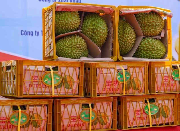 Xuất khẩu hàng hóa cả nước tháng đầu năm 2024 đạt 33,6 tỷ USD