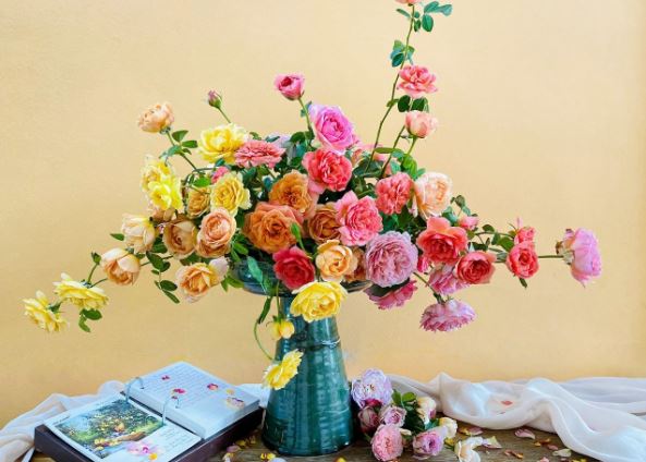 Tử vi hàng ngày - Thứ Hai 12/2/2024 của 12 cung hoàng đạo